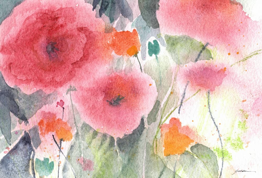 Pink Watercolor Poppies by Sheila Golden — canvas wall art
