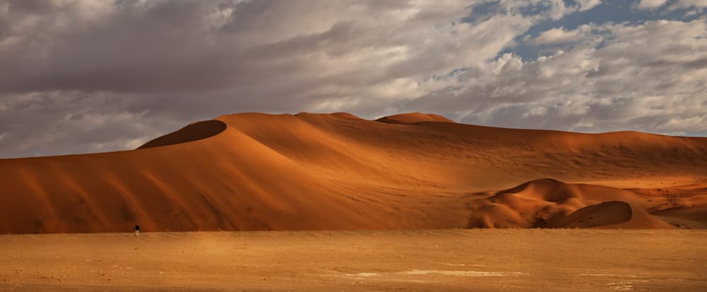 Golden Desert Dunes by Anne Berger — canvas wall art