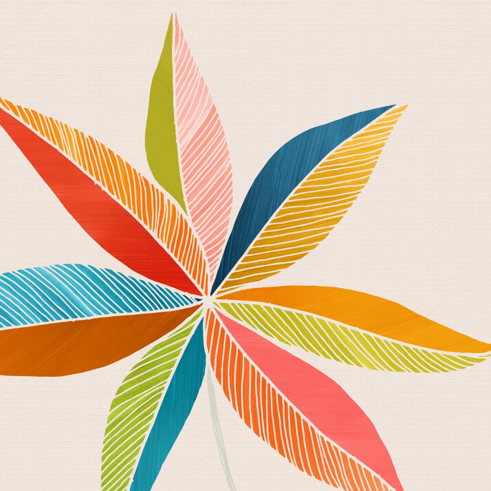 Multicolorful 2 by Kristian Gallagher — canvas wall art