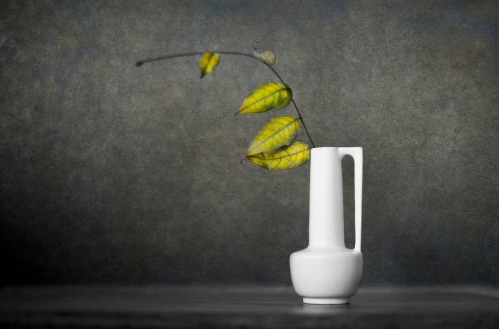 Minimalist Vase Yellow Leaves by Alida van Zaane — canvas wall art