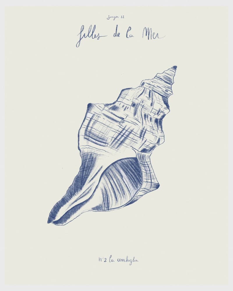 Coastal Seashell Study by Giulia Mora — canvas wall art