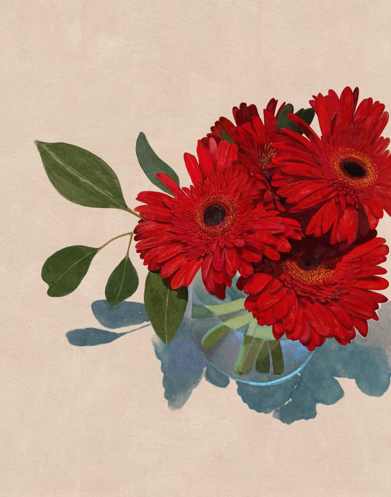 Gerbera Daisy by Katie O'Shea — canvas wall art