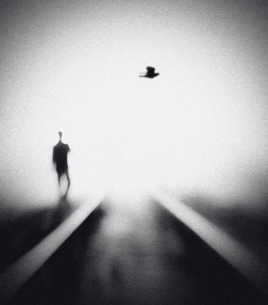 Solitary Man Flying Bird by Hengki Lee — canvas wall art