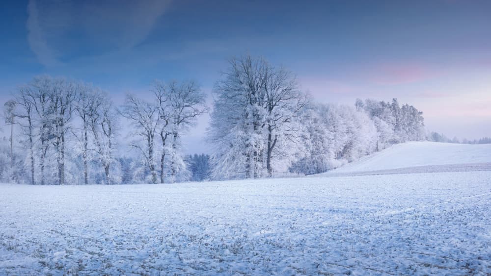 Frosty Winter Landscape by Burger Jochen — canvas wall art