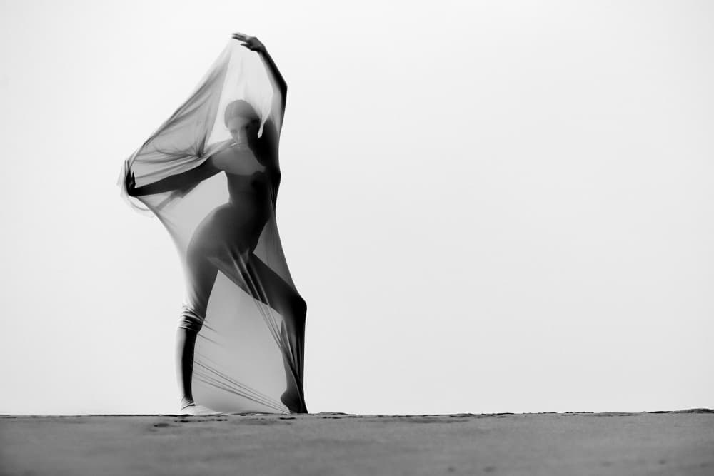 Ethereal Fabric Dancer by Joan Gil Raga — canvas wall art