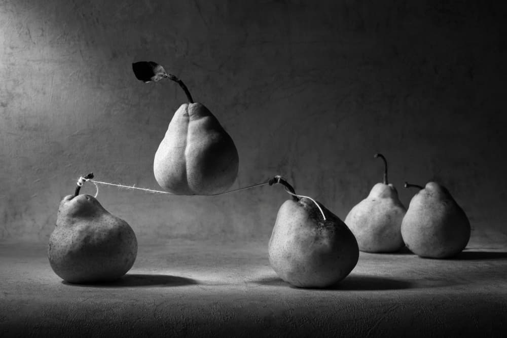 Pears in Balance by Victoria  Glinka — canvas wall art