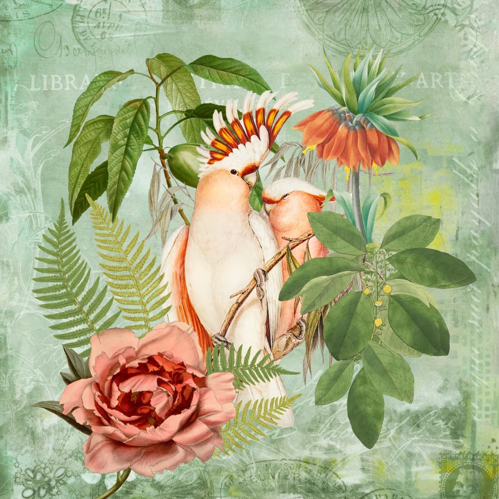 Tropical Cockatoo Romance by Andrea Haase — canvas wall art