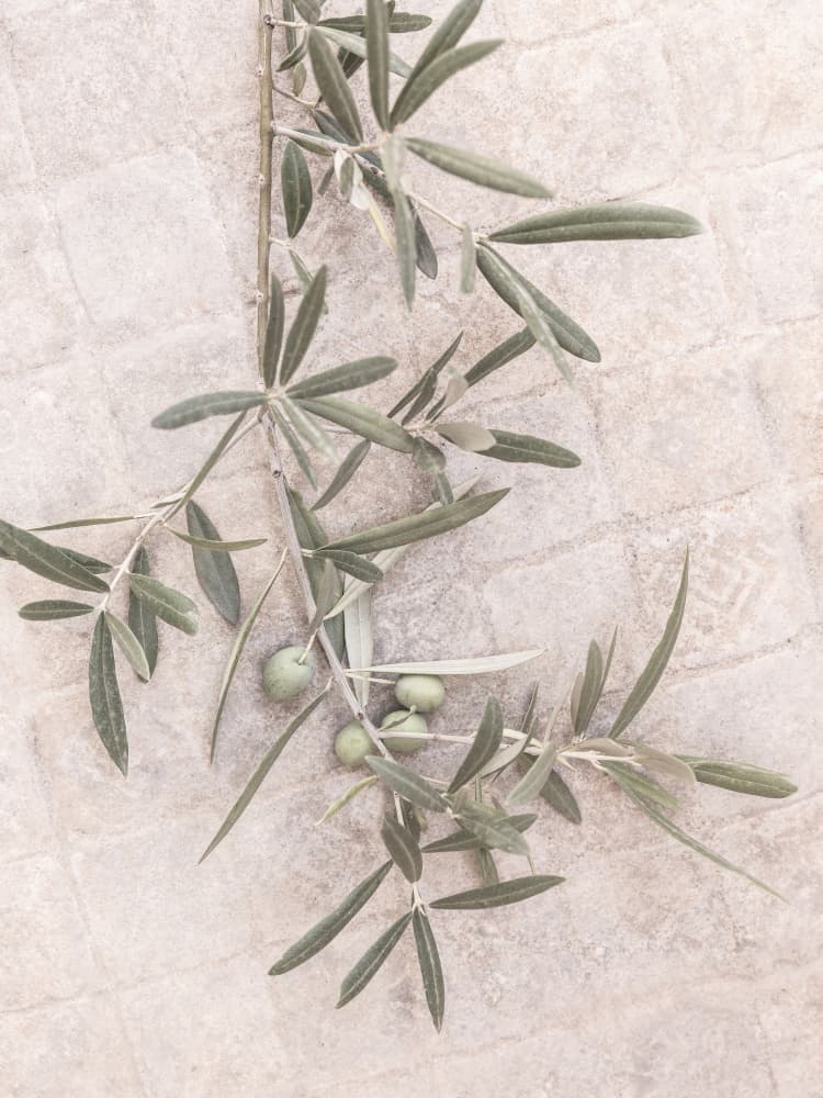 Spanish Tiles by Kathrin Pienaar — canvas wall art