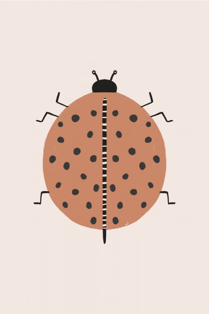 Spotted Terracotta Ladybug by Menina Lisboa — canvas wall art
