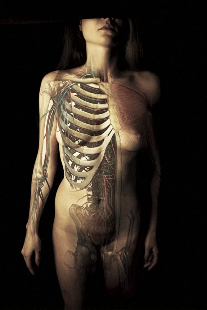 Anatomy Of A Woman by Bogdan Bouşcă — canvas wall art