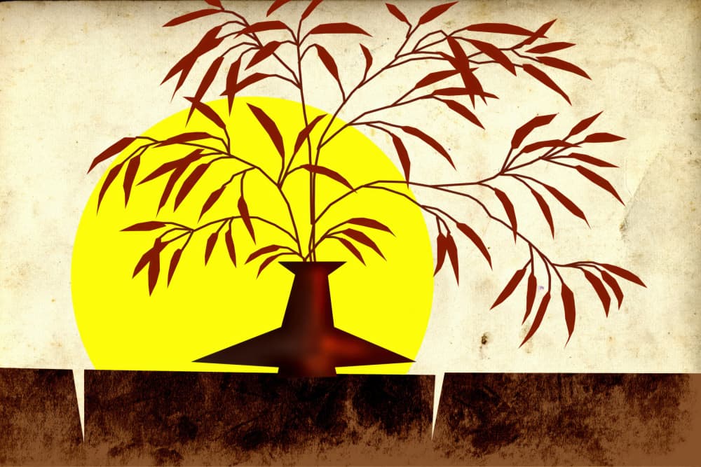 Zen Branches Sun by Rafal Kulik — canvas wall art