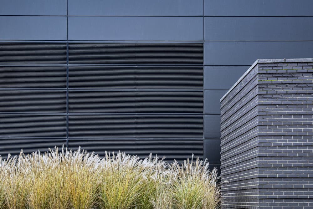 Urban Architecture Grasses by Linda Wride — canvas wall art