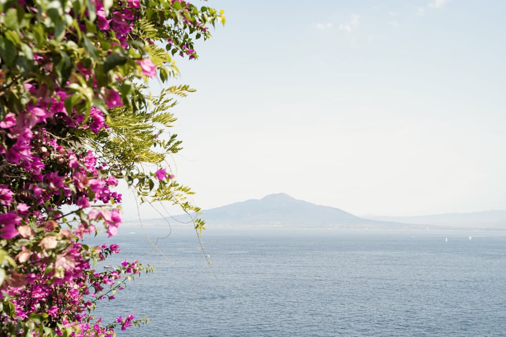 Bougainvillea Sea View by Henrike Schenk — canvas wall art