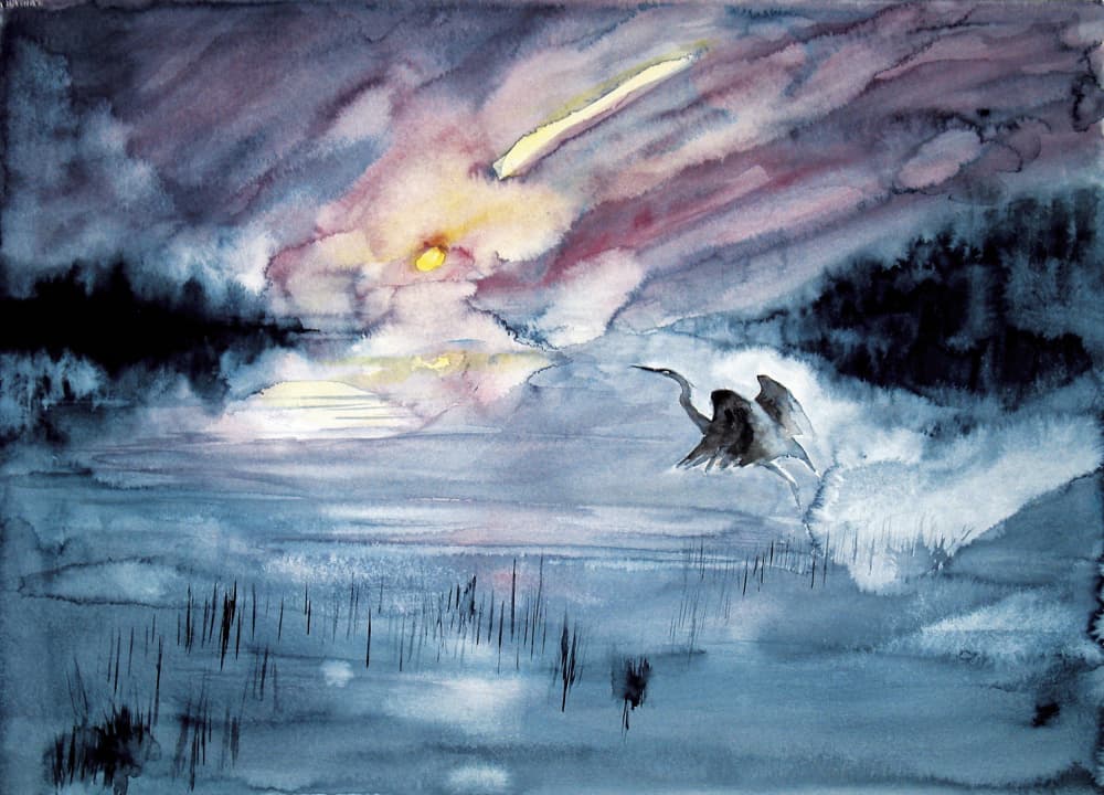 Heron Flying Comet Sky by RodMacIver — canvas wall art