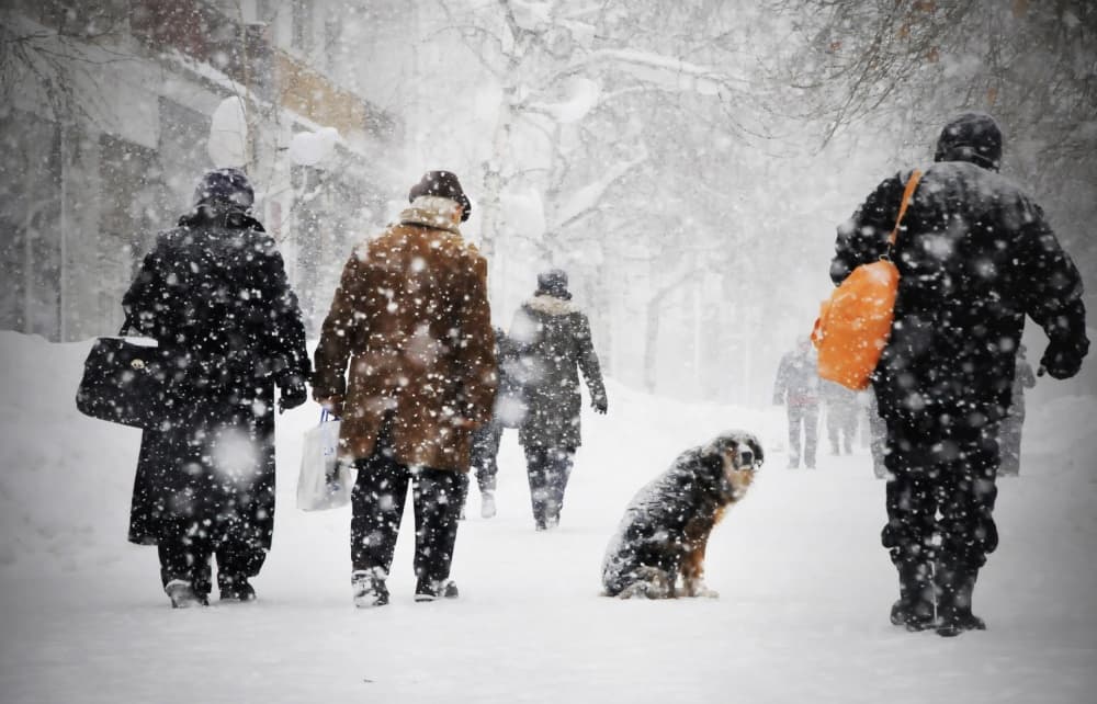 Snowy Urban Walk by Stefan Kamenov — canvas wall art