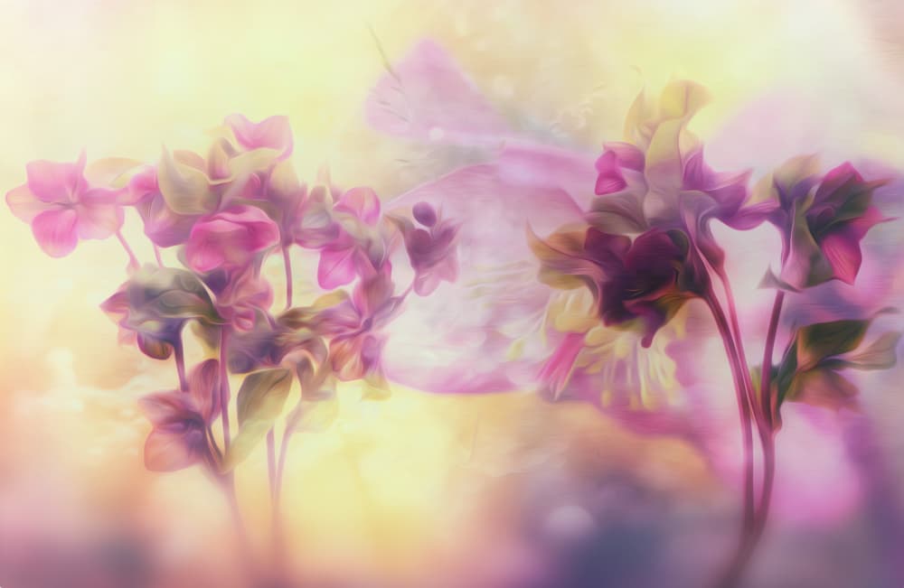 romantic by Hilda van der Lee — canvas wall art