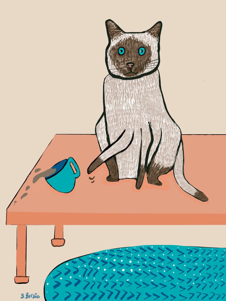 Siamese Cat Coffee Spill by Sharyn Bursic — canvas wall art