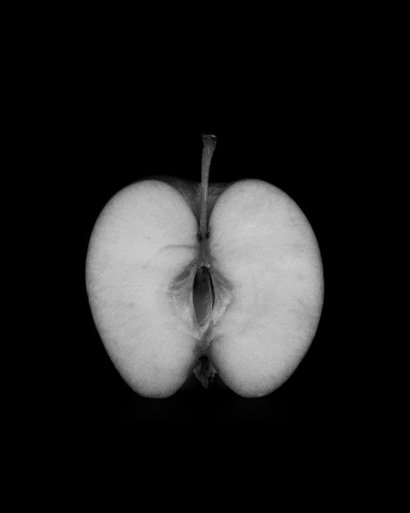 Minimal Apple Slice by Lynann Colligan — canvas wall art