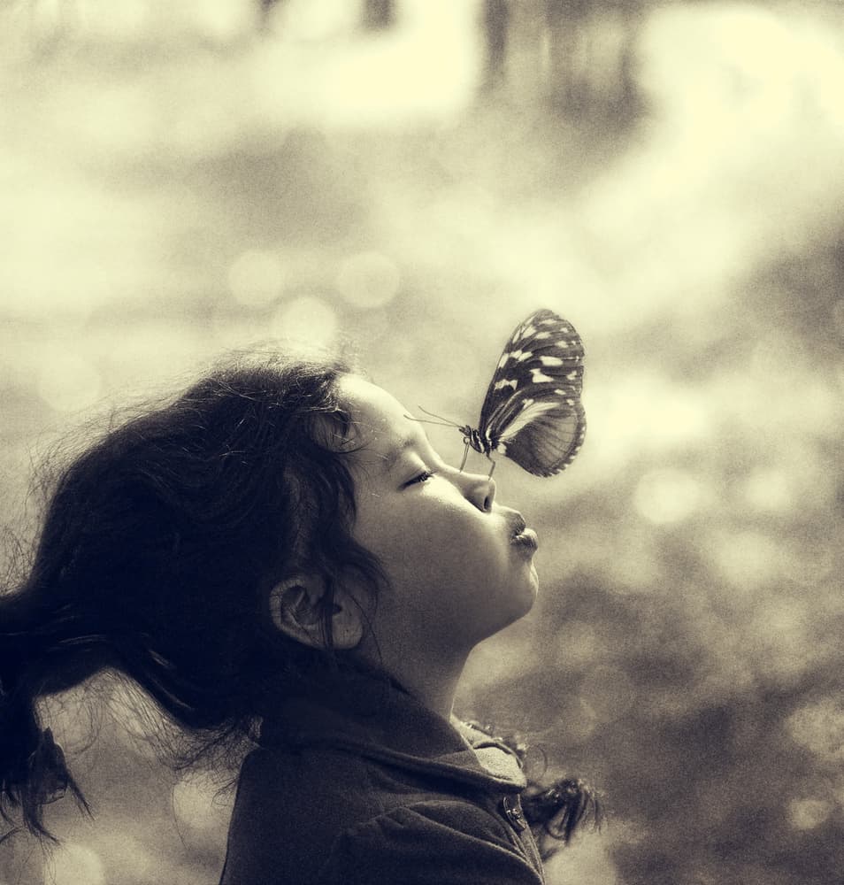 Sweet Butterfly Kiss by Svetlana Melik-Nubarova — canvas wall art