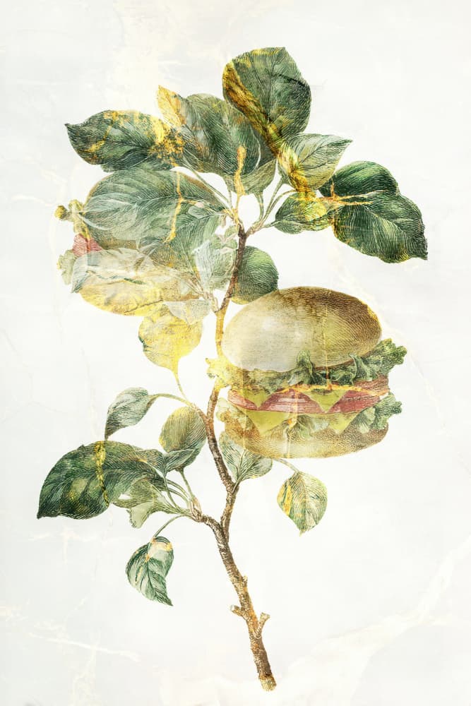 Growing Hamburger Plant by Rafal Kulik — canvas wall art