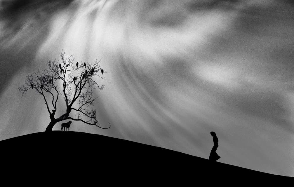 Woman Dog Bare Tree by Peter Hammer — canvas wall art