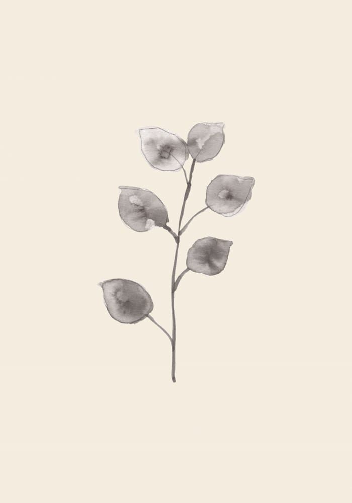 Delicate Botanical Study by Pictufy Studio — canvas wall art