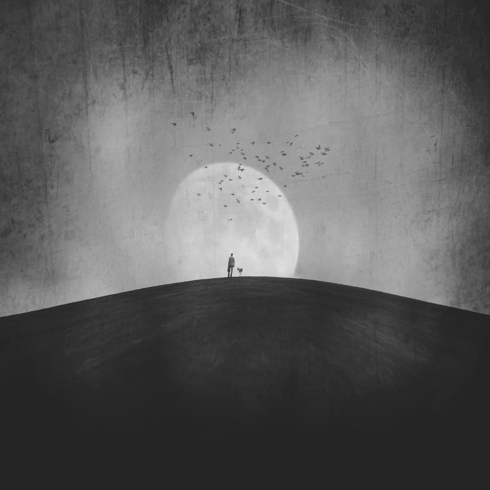 Moonlit Hill Companion by Robert Fabrowski — canvas wall art