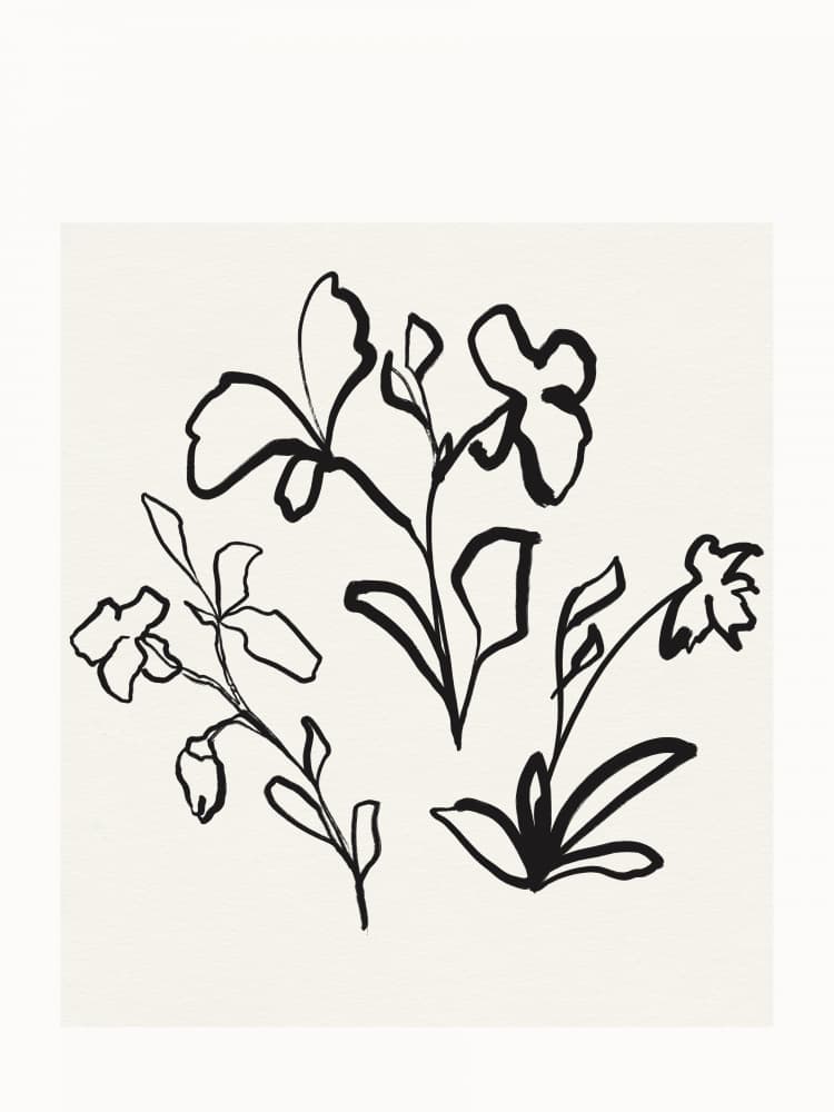 Floral Line Dance by Treechild — canvas wall art
