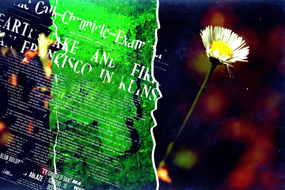 Collage Flower and text by Rafal Kulik — canvas wall art