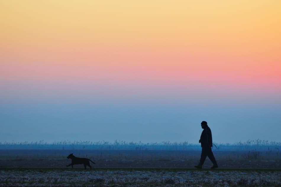 Serene Twilight Walk by Riekus Reinders — canvas wall art
