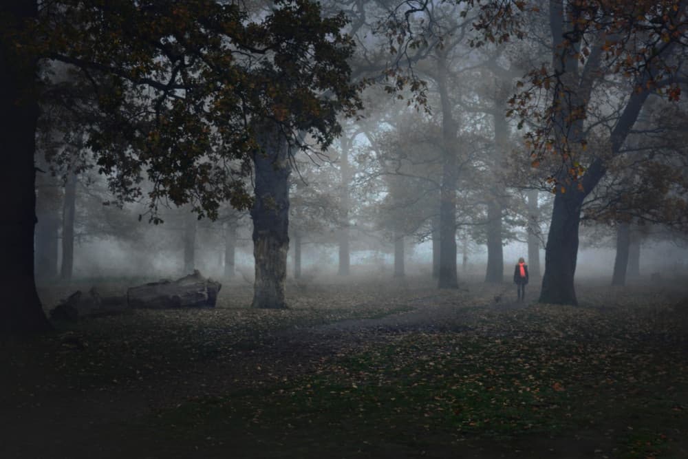 Solitary Figure Foggy Forest by Robert Fabrowski — canvas wall art