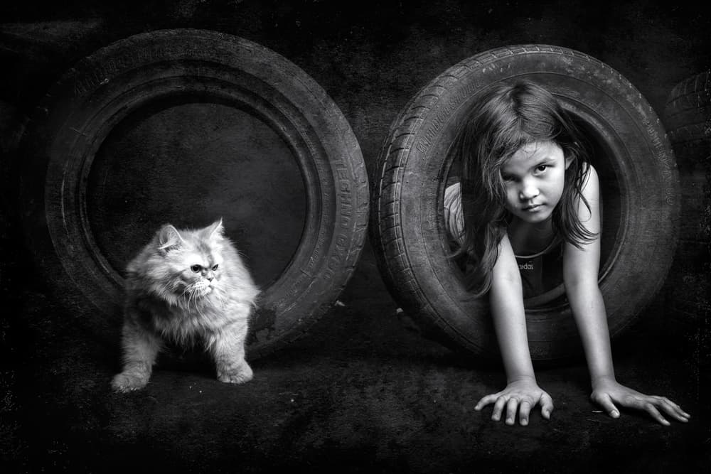 Intense Girl and Cat by Arief Siswandhono — canvas wall art