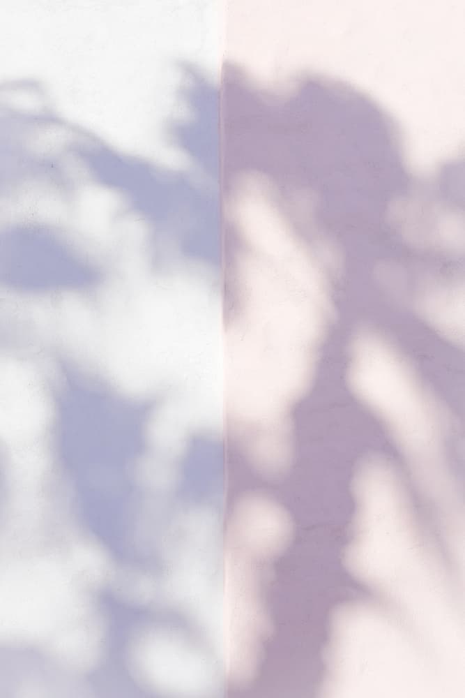 Soft Lavender Shadows by Pictufy Studio III — canvas wall art