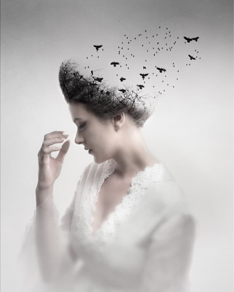 Ethereal Mind Flight by Joe Conroy — canvas wall art