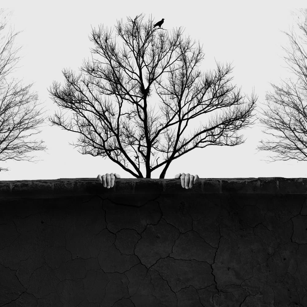 Hands Grasping Cracked Wall by Hadi Malijani (Malenjani) — canvas wall art