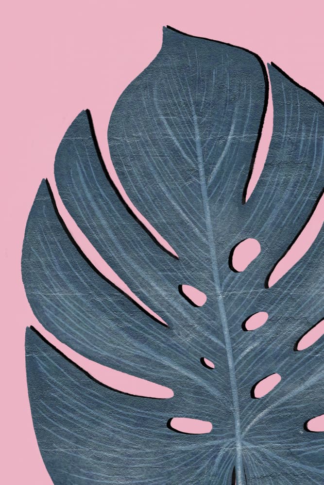 Textured Monstera Pink by Martina — canvas wall art