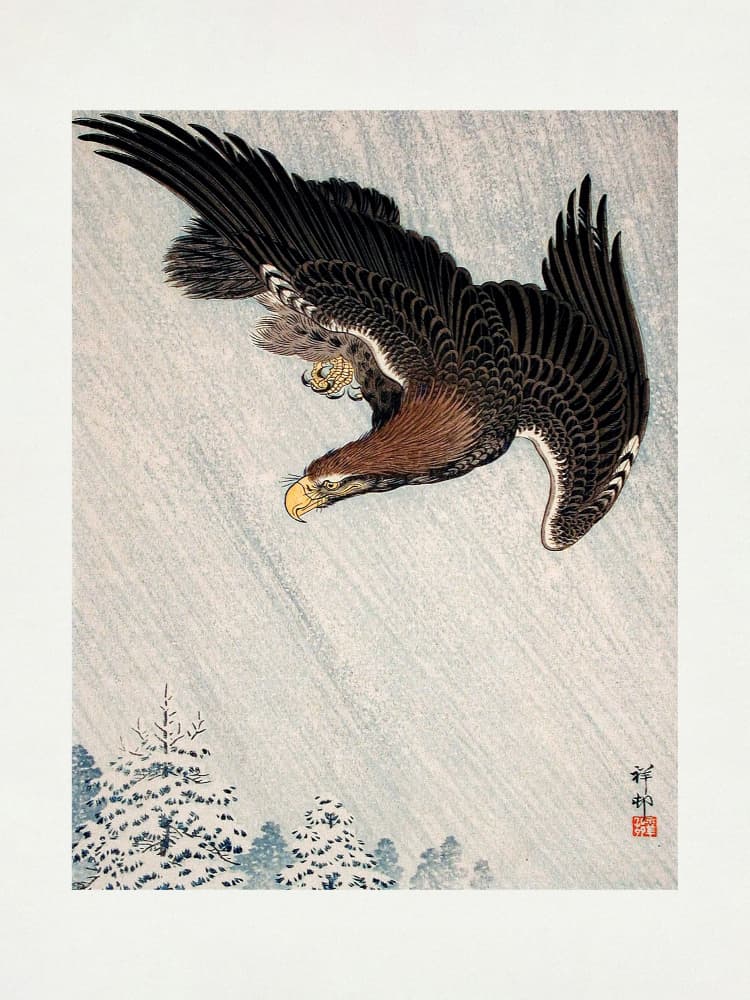 Eagle Flying In Snow (1933) by Ohara Koson — canvas wall art