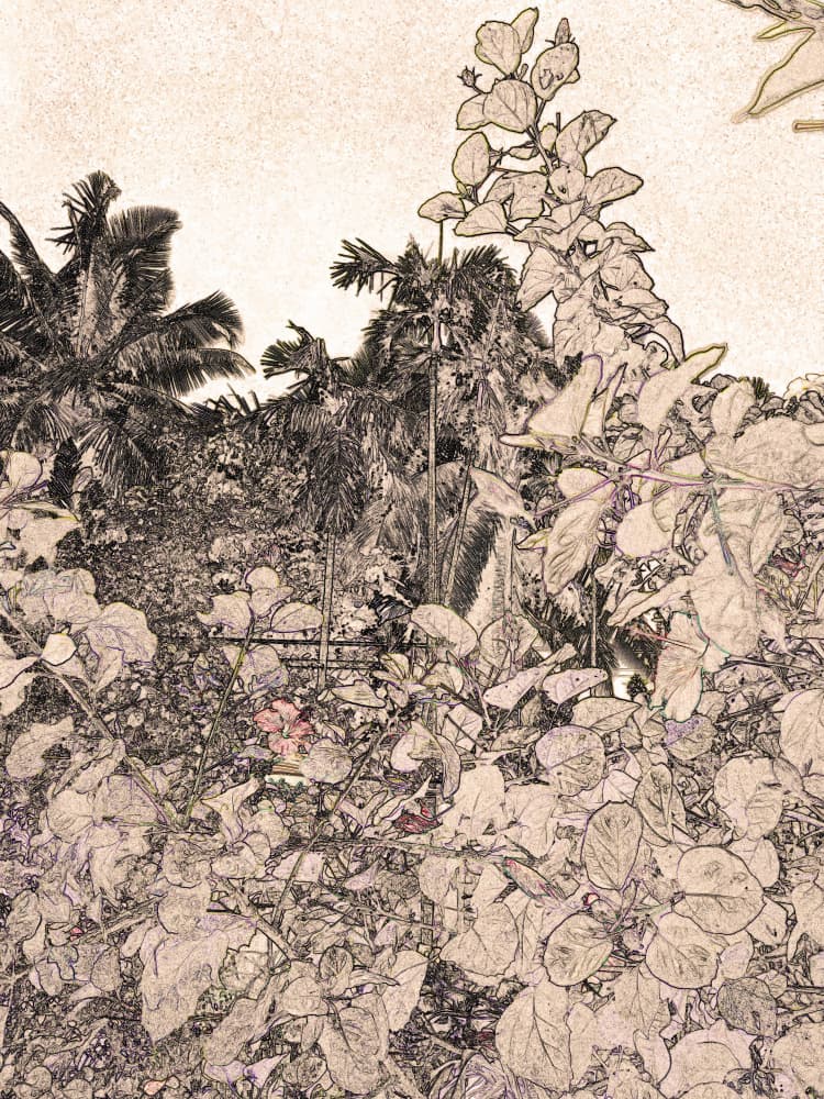 Tropical Garden Sketch by Santhosh ch — canvas wall art
