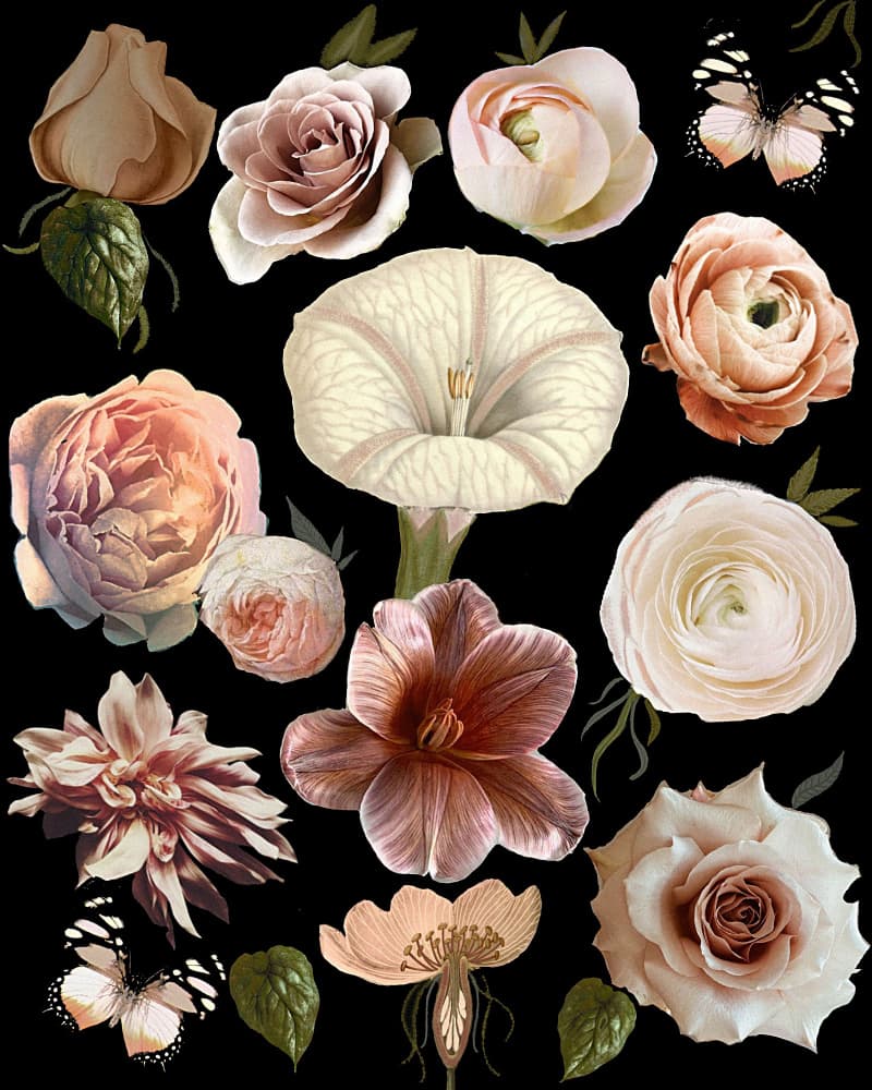 Dark Botanical Blooms by giovanna nicolo — canvas wall art