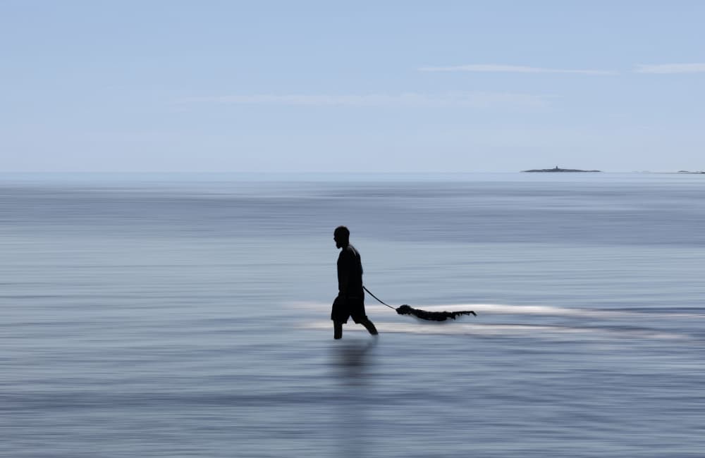 Calm Ocean Dog Walk by Clas Gustafson PRO — canvas wall art
