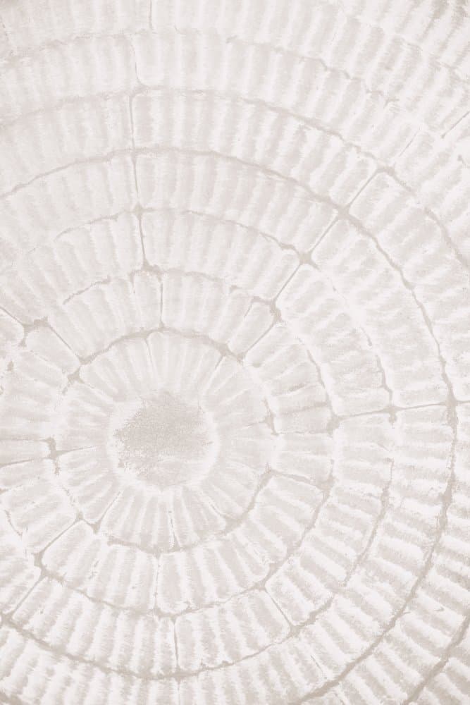 White Ripple Swirl by Pictufy Studio III — canvas wall art