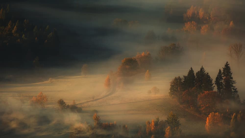 Misty Autumn Valley Glow by Izabela Laszewska-Mitrega / Darek Mitręga — canvas wall art
