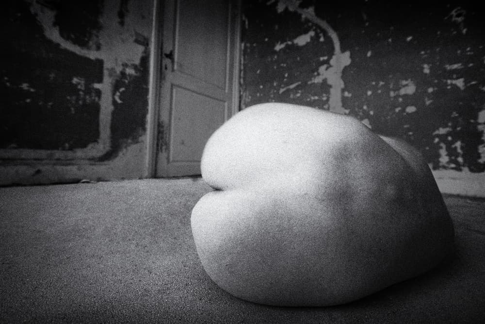The butt by Ton Dirven — canvas wall art