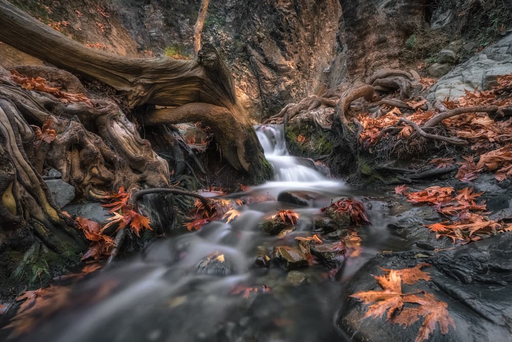 Tranquil Woodland Waterfall by Christos Zoumides — canvas wall art