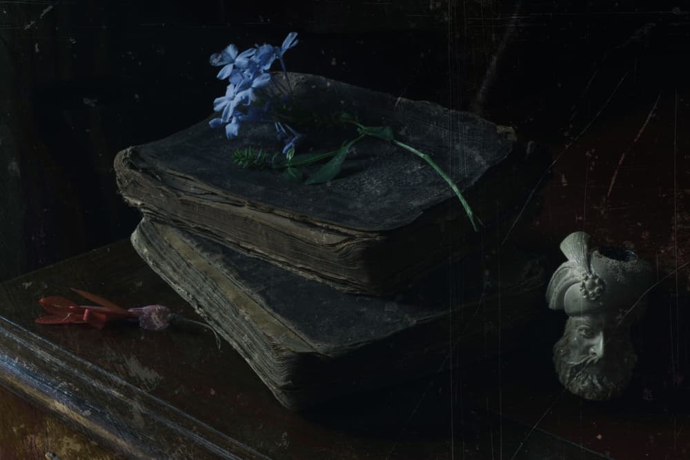 Antique Books and Blue Blooms by Ramiz Sahin — canvas wall art