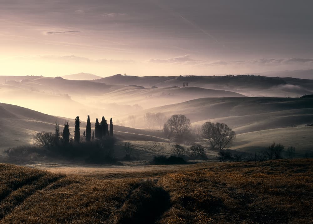 Misty Morning Rolling Hills by Fabrizio Massetti — canvas wall art