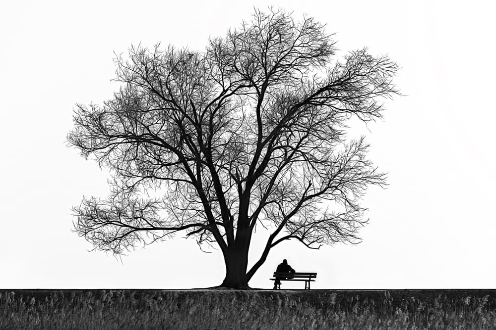 Man Under Winter Tree by Andrea Comari — canvas wall art