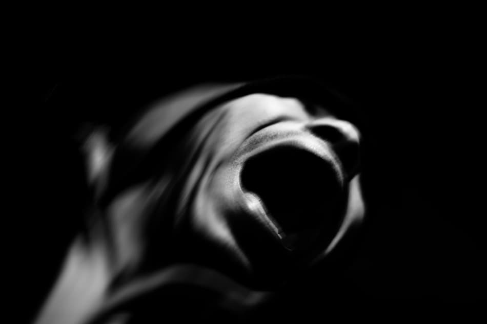 Silent Scream by Keisuke Ikeda @ blackcoffee — canvas wall art