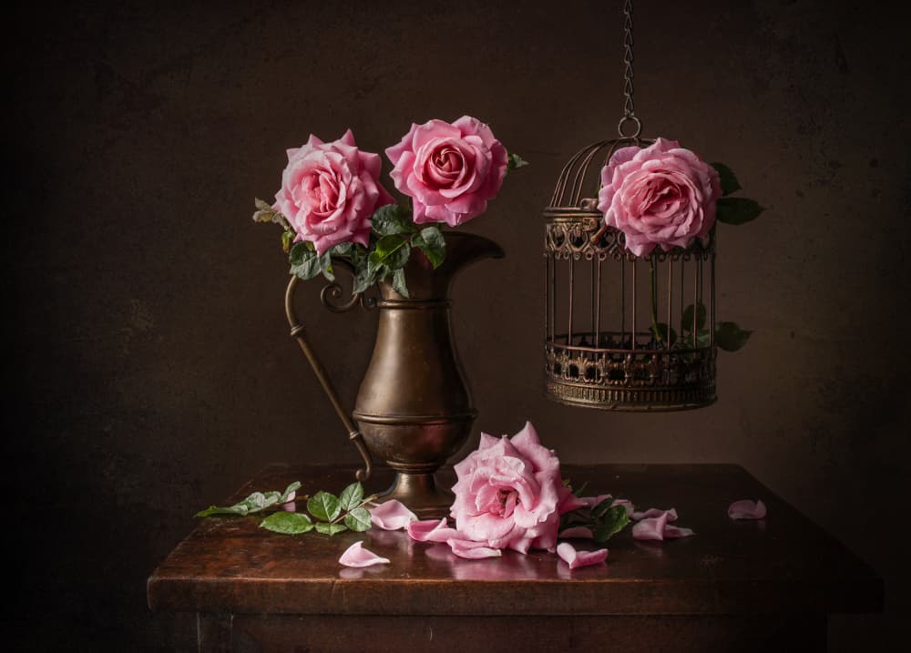 Moody Rose Still Life by Margareth Perfoncio — canvas wall art