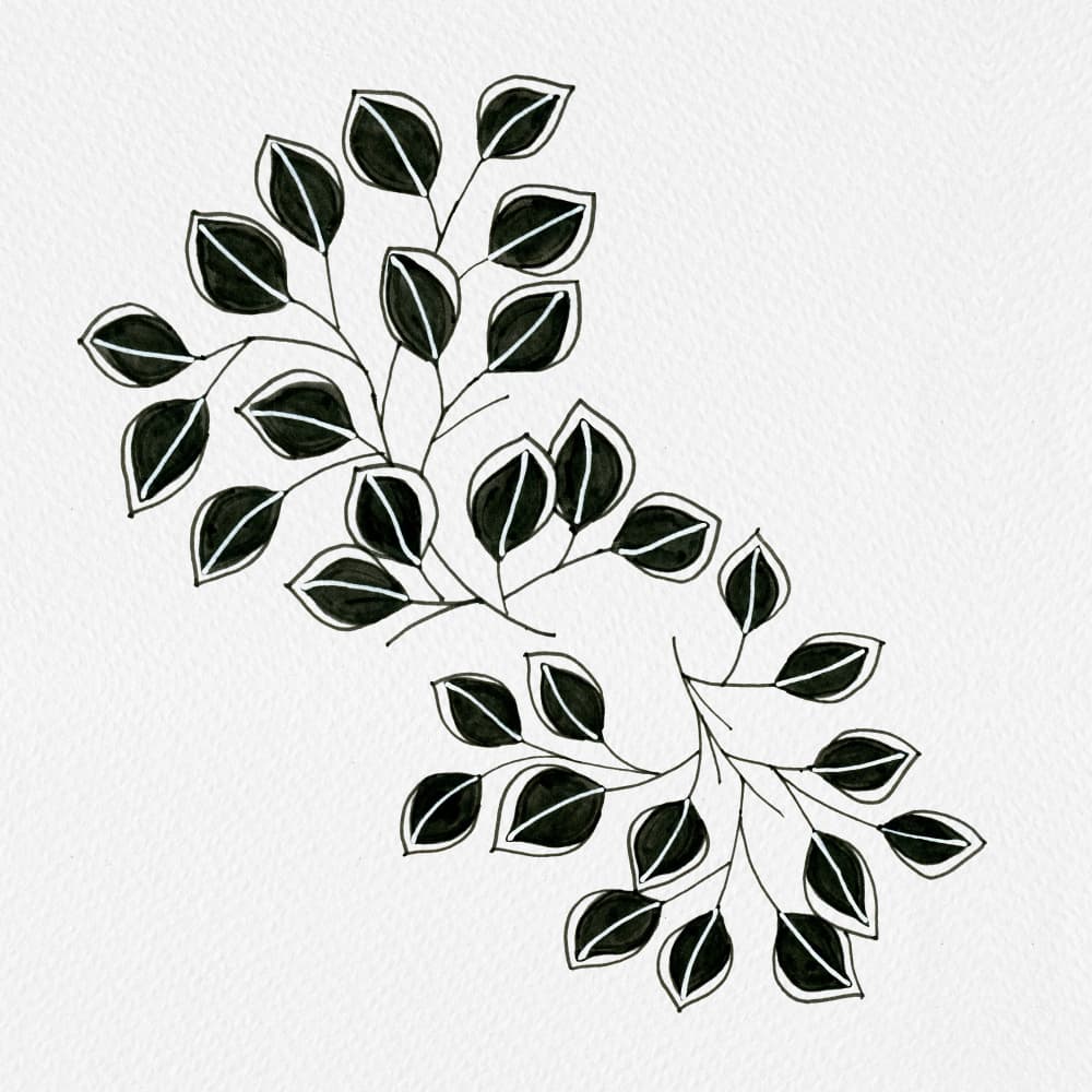 Flowing Botanical Branches by Michele Channell — canvas wall art